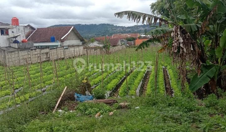 For Sale Very Large Land in Cikole Lembang West Java R R