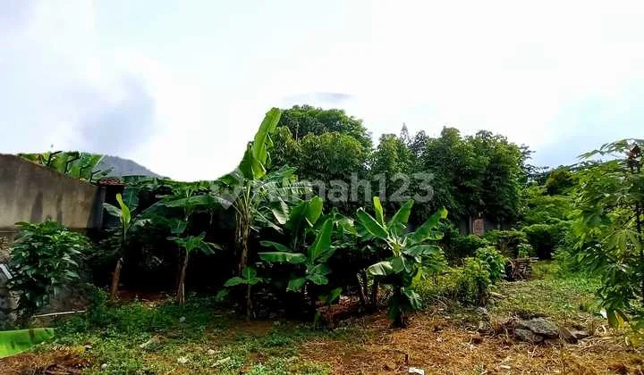 Sewa Kavling Tanah di Zona Komersial Jl. Panjang Arteri Kebon Jeruk Jakarta Barat (GN) Sewa Kavling Tanah di Zona Komersial Jl. Panjang Arteri Kebon Jeruk Jakarta Barat (GN)