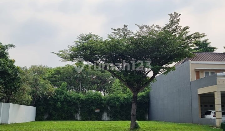 For Sale: 634m2 Land Plot in Sutera Cluster, Alam Sutera BSD
