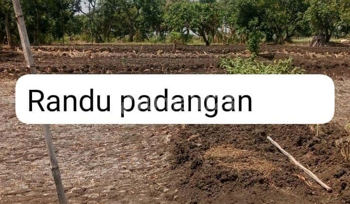 Dijual Tanah Kavling Perumahan Randu Padangan Menganti Gresik