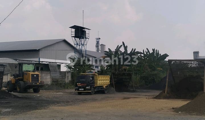 Jual Tanah Shm Di Nol Jalan Raya Kedamean