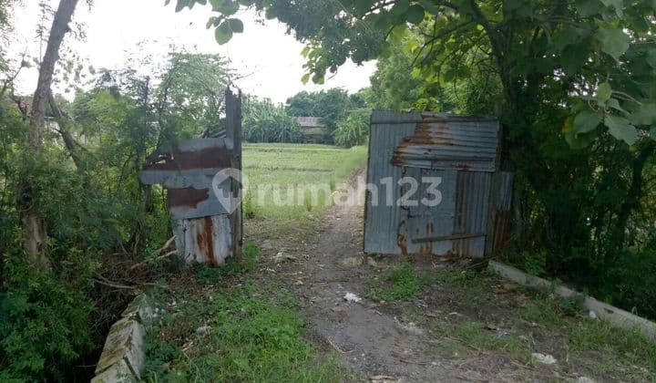 SHM Land in Cerme, Gresik