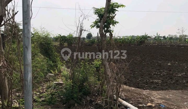 Selling SHM Square-Shaped Land in Cerme, Gresik