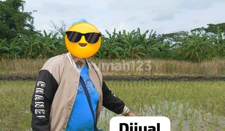 Jual Tanah di Kedung Cowek. Lebak Kla