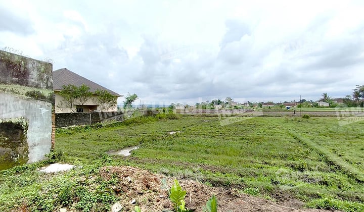 Tanah SHM Luas 1175M2 Disewakan Lokasi Sangat Strategis Dekat Area Industri di Nol Jalan Raya Kebon Agung, Kec. Pakisaji, Kab. Malang