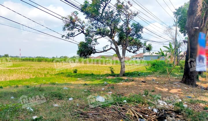 Tanah Luas 5115 M2 Sudah SHM Cocok untuk Investasi Maupun Usaha Lokasi Strategis di Nol Jalan Raya Mondoroko, Kec. Singosari, Kab. Malang