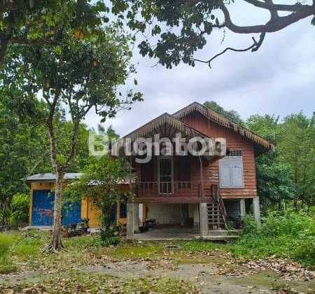 Tanah Luas 6.555M2 Binjai.. Harga Murah Rp 210.000/M