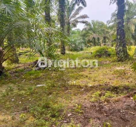 Tanah Sawit & Sungai Yang Menghasilkan Batu Proyek Di Aceh Singkil