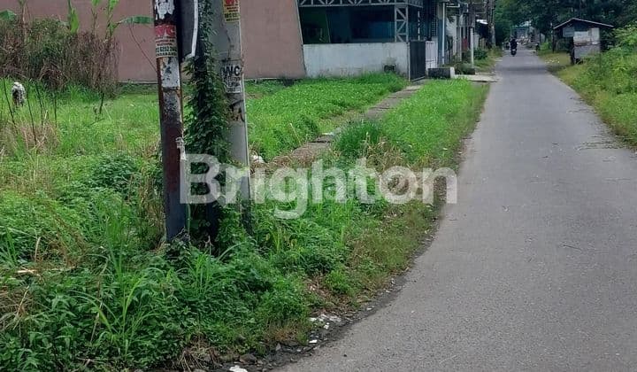 Tanah Hook Kosong Di Johor