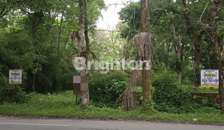 Tanah Kosong Depan Kebun Binatang