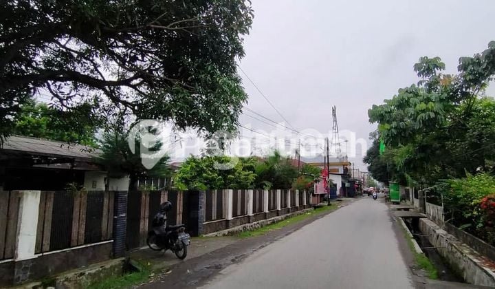 Rumah Lama Mewah dan Luas