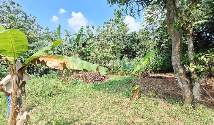 Land Suitable for Cluster Housing or Business in Sawangan, Depok