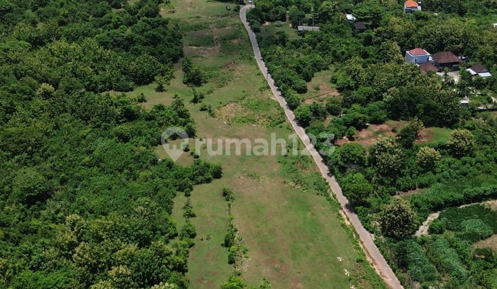 Tanah Dijual di Ungasan, Badung SHM 1 hektar Lokasi Strategis
