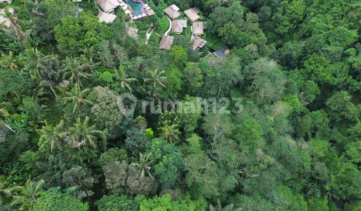 Dijual Tanah di Buahan Payangan Gianyar, Ubud Bali Nandini Resort