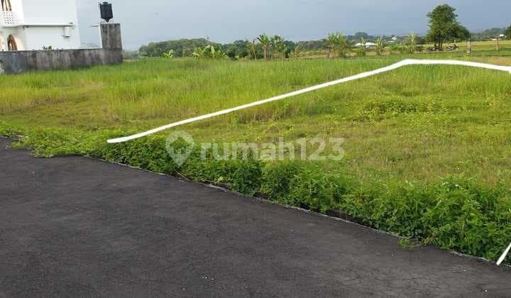 Land for Sale - Exclusive Villa Area, Walking Distance to Beach, Kelating, Tabanan