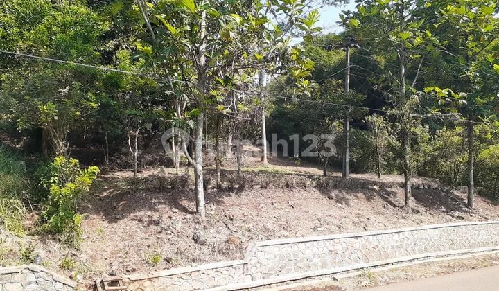 Jual Cepat Tanah Kebun Strategis Cocok untuk Alfa Jalan Ramai