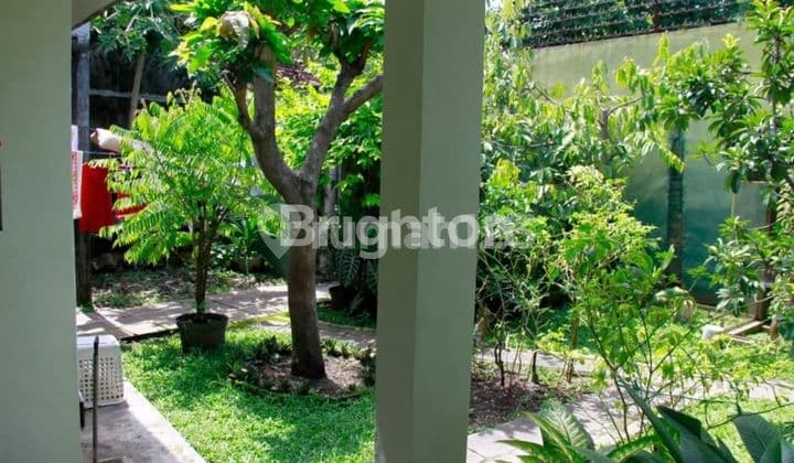 Rumah 2Lantai nyaman asri, area tengah kota Malang