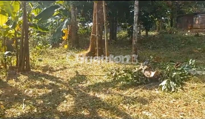 DIJUAL CEPAT TANAH G.PATI