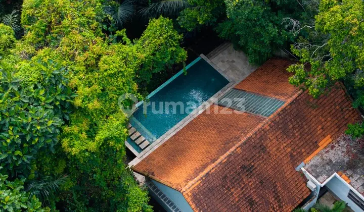 Villa 2 Kamar Tidur dengan Pemandangan Hutan dan Sungai di Kaba-Kaba (R-KK23)