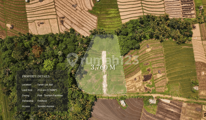 Tanah 3.760 m² dengan Pemandangan Green Belt 360° di Tanah Lot
