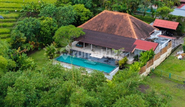 Villa Riverside 4 Kamar Tidur dengan Kolam Renang Infinity dan Pemandangan Sawah di Buduk (R-Bd06)