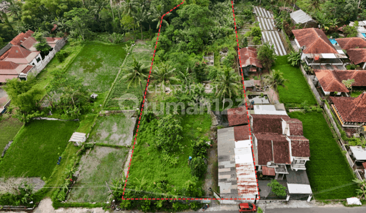 Tanah Luas Di Pakembinangun Cocok Untuk Bisnis Vila