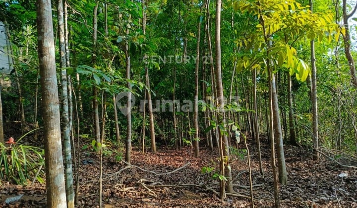 Tanah Di Area Wisata Mangunan Bantul