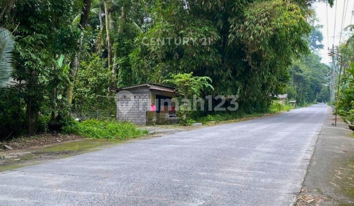 Tanah Luas di Sleman Utara Cocok untuk Vila atau Cafe