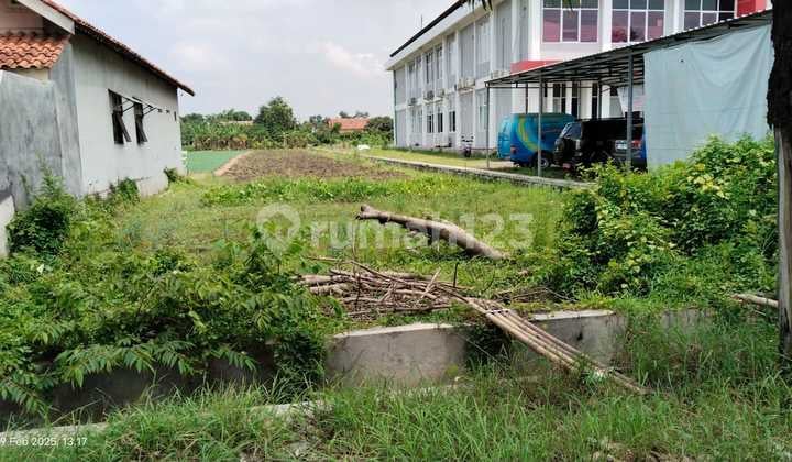 Jual Sawah Jl Gor Gandasuli Brebes