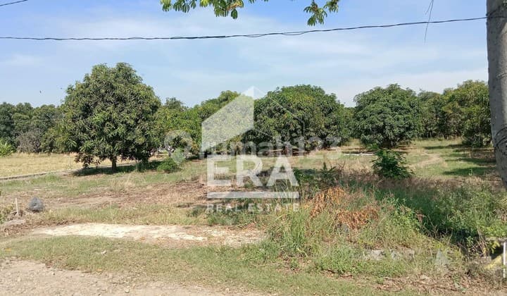 tanah mejasem timur permeter 700rb