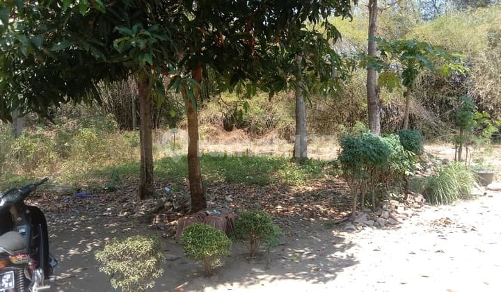 JUAL TANAH DAERAH DUKUHWARU TEGAL