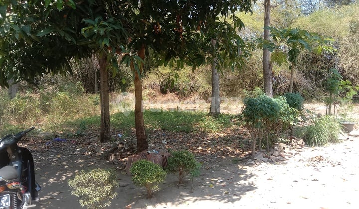 JUAL TANAH DAERAH DUKUHWARU TEGAL