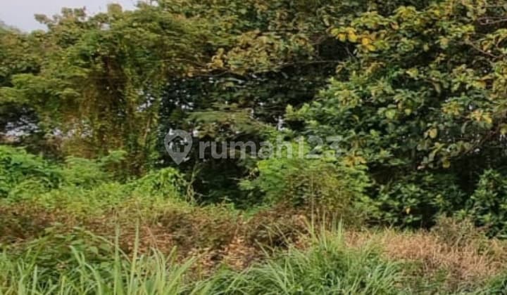 Land Near the Center of Slawi City