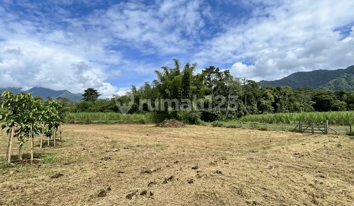 Tanah Kavling 80 Jutaan Kota Malang, bisa Angsuran