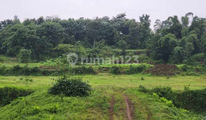 Tanah 80 Jutaan Kota Malang Bukan Kabupaten