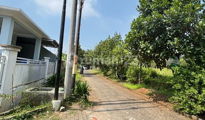 Promo Tanah Kota Malang, Potensi Rumah dan Kos, Dekat Kampus Umm