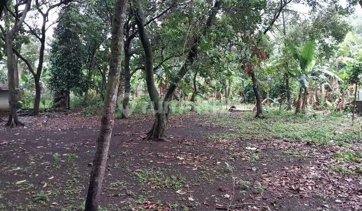 For Sale: Land Plot Behind Raffles Hills Cibubur, Suitable for Building a Cluster