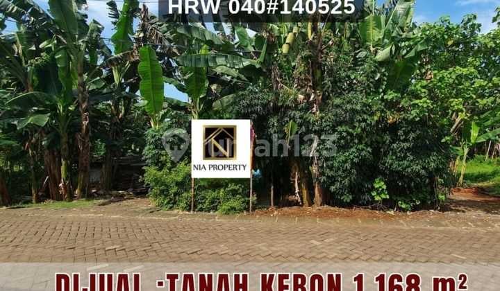 Dijual Tanah Kebon Cocok Untuk Lahan Usaha, Gudang, Workshop Lokasi di Jalan Ciangsana Gunung Putri Bogor