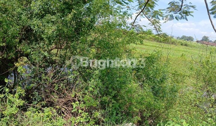 TANAH DISEWAKAN SIAP BANGUN COCOK UNTUK USAHA LUAS 2.140M DAERAH SOEKARNO HATTA SEMARANG