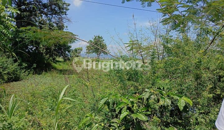 DIJUAL TANAH SIAP BANGUN PINGGIR JALAN RAYA LUAS 1300 m2 DEKAT KIK DAERAH KUMPULREJO, KALIWUNGU KENDAL SEMARANG
