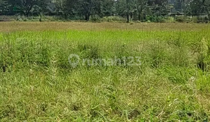 Kapling Luas 280M =2 Sertifikat SHM Didaerah Pedurungan Hadap Selatan