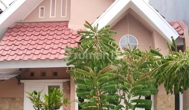 Di Sewakan Rumah Rapih Sutera Flamboyan 1 Lantai
