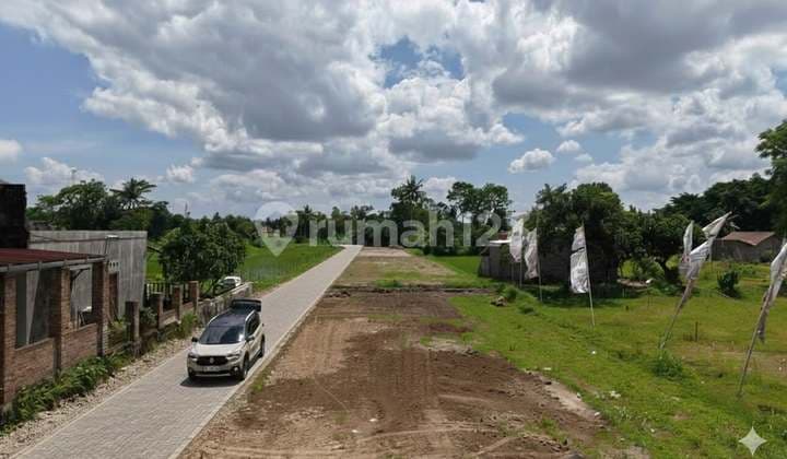 Tanah SHM Utara Ringin Pandowoharjo Sleman