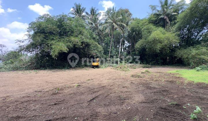 Tanah Jogja Area Pemda Belakang kantor BPN Sleman