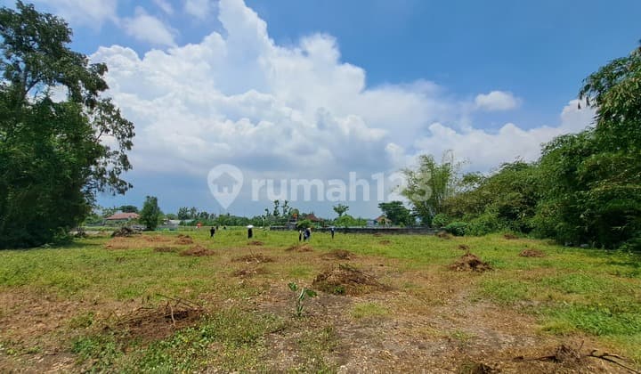 Tanah SHM Siap Bangun Timur Stadion Maguwoharjo