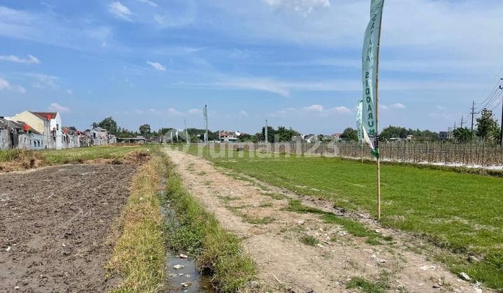 Tanah SHM Dekat Rs Pku Gamping dan Area Kampus