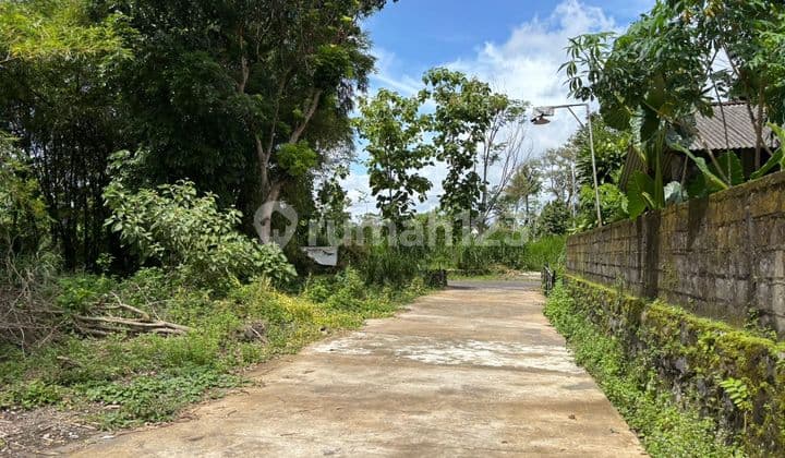 Tanah Jogja SHM Pandanaran Jalan Kaliurang KM 12