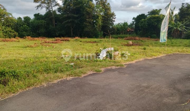 8 Menit Sekolah Budi Mulia Jl. Tajem Dijual Tanah SHM