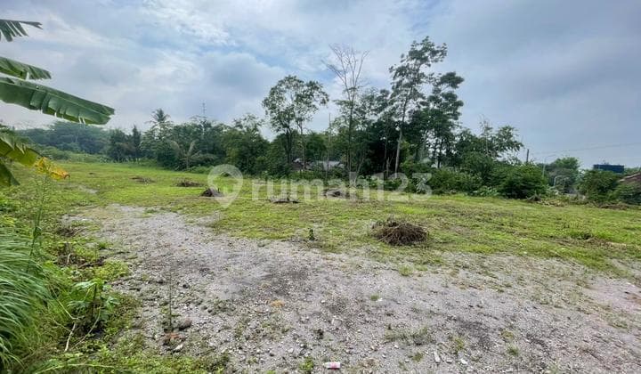 Sleman Land Cheap 5 Minutes to Kopi Klothok and Pakem Market.