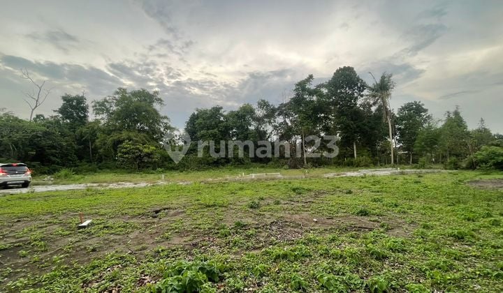 East Sleman Land 8 Minutes to Adisucipto Airport